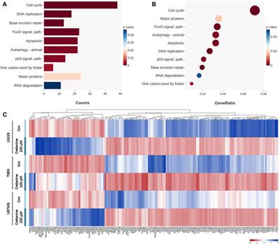 Crebanine, an aporphine alkaloid, induces cancer cell apoptosis through PI3K-Akt pathway in glioblastoma multiforme